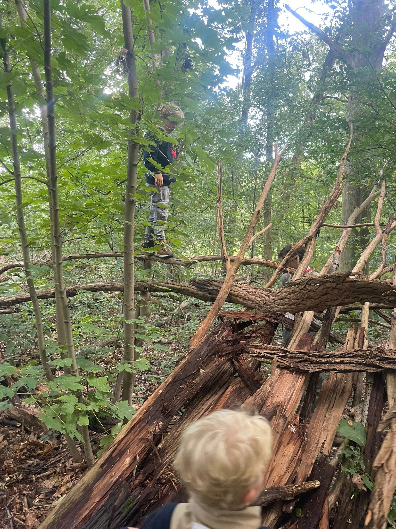 Sint-Martinus den XIIde - Opening 2024